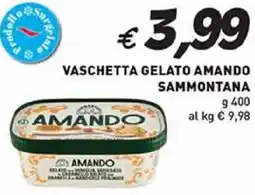 Coal Vaschetta gelato amando sammontana offerta