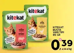 Extra Supermercati Kitekat busta vari tipi offerta