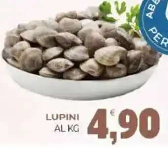 Eté Lupini offerta