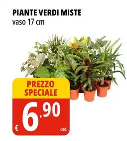 Tigros Piante verdi miste offerta
