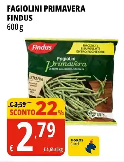 Tigros Fagiolini primavera FINDUS offerta
