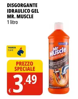 Tigros Disgorgante idraulico gel MR. MUSCLE offerta