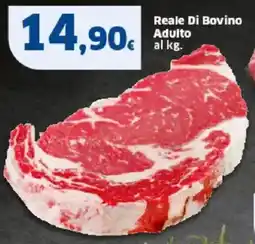 Sigma Reale Di Bovino Adulto offerta