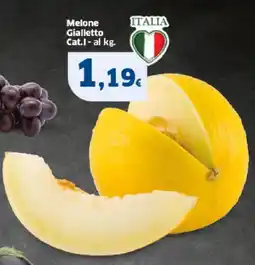 Sigma Melone Gialletto offerta