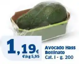 Sigma Avocado Hass Bollinato offerta