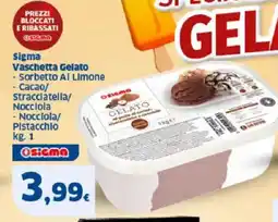 Sigma Sigma Vaschetta Gelato offerta