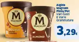 Sigma Algida Magnum Pinta/Pot Vari Gusti E Varle Grammature offerta