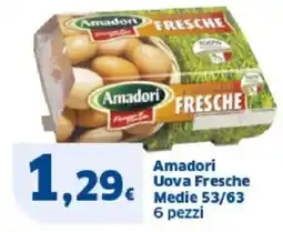 Sigma Amadori Uova Fresche Medie 53/63 6 pezzi offerta