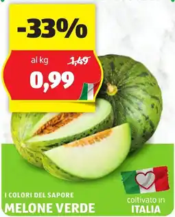 ALDI I colori del sapore melone verde offerta