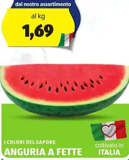 ALDI I colori del sapore anguria a fette offerta
