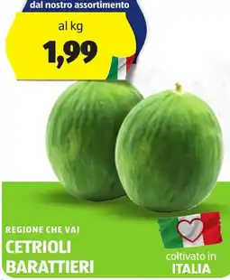 ALDI Regione che vai cetrioli barattieri offerta