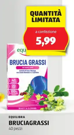 ALDI Equilibra bruciagrassi 40 pezzi offerta
