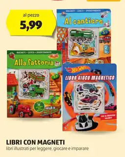 ALDI Libri con magneti offerta