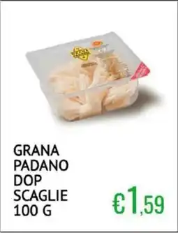 Sugros Grana padano DOP scaglie offerta