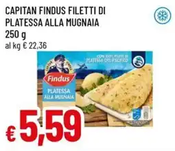 A&O Capitan findus filetti di platessa alla mugnaia offerta
