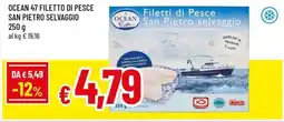 A&O Ocean 47 filetto di pesce san pietro selvaggio offerta