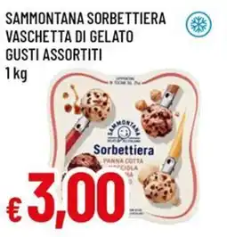 A&O Sammontana sorbettiera vaschetta di gelato gusti assortiti offerta