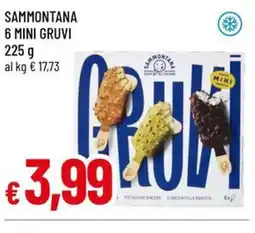 A&O Sammontana 6 mini gruvi offerta