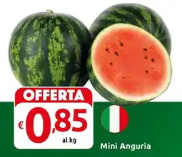 Carrefour Express Mini Anguria offerta