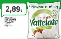 Basko Mozzarella fior di latte VALLELATA offerta