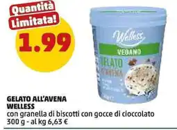 PENNY Gelato all'avena welless offerta