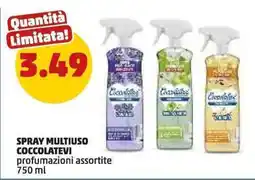 PENNY SPRAY MULTIUSO COCCOLATEVI offerta