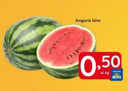 Famila Superstore Anguria bins offerta