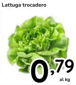 Famila Superstore Lattuga trocadero offerta