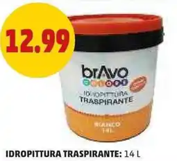 PENNY Idropittura traspirante BRAVO offerta