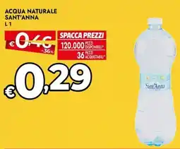 Bennet Acqua naturale SANT'ANNA offerta