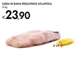 Bennet Coda di rana pescatrice atlantica offerta