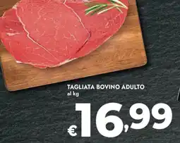 Bennet Tagliata bovino adulto offerta