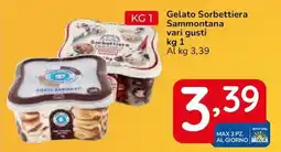 Famila Superstore Gelato Sorbettiera Sammontana vari gusti offerta