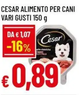 Famila Cesar alimento per cani lechat alimento gatti offerta