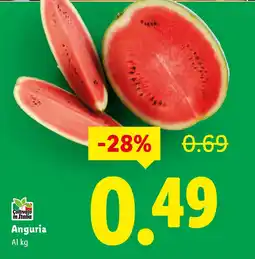Lidl Anguria offerta