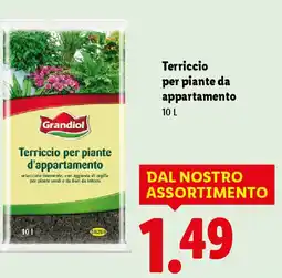 Lidl Terriccio per piante d'appartamento offerta
