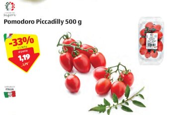 ALDI Pomodoro Piccadilly 500g offerta