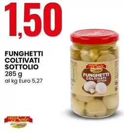 Eurospin Funghetti coltivati sottolio Delizie Sole offerta