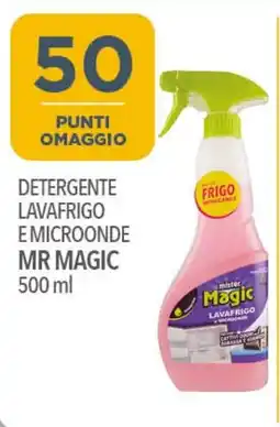 Iper Nonna Isa Detergente lavafrigo e microonde MR MAGIC offerta