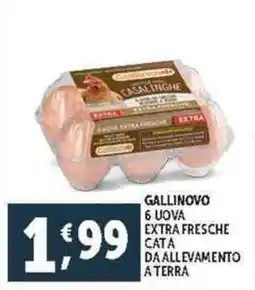 Deco Supermercati Gallinovo 6 uova extra fresche cat a da allevamento aterra offerta