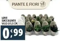 Deco Supermercati Love succulente offerta