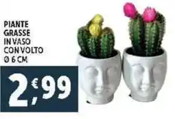 Deco Supermercati Piante grasse in vaso convolto offerta