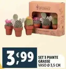 Deco Supermercati Set 3 piante grasse offerta