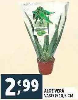 Deco Supermercati Aloe vera offerta