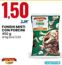 Eurospin Funghi misti con porcini Delizie Sole offerta
