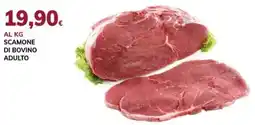 Basko Scamone di bovino adulto offerta