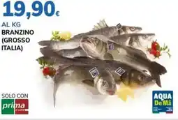 Basko Branzino (grosso italia) offerta