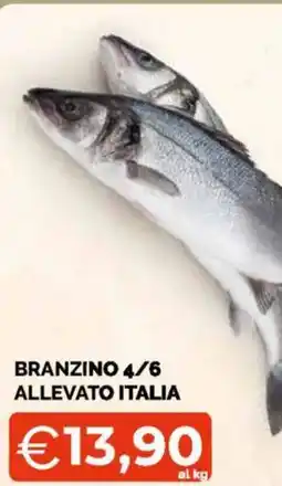 Mercatò Branzino 4/6 allevato italia offerta