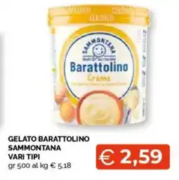 Mercatò Gelato barattolino sammontana vari tipi offerta