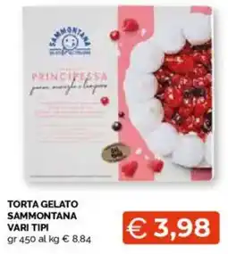Mercatò Torta gelato sammontana vari tipi offerta